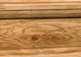 olivo